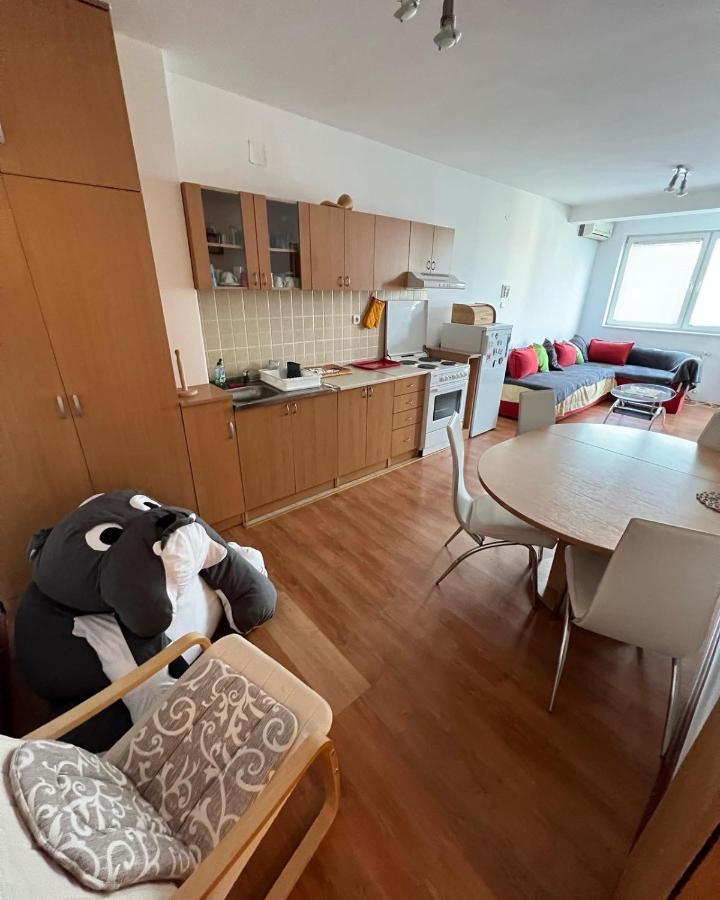 Apartments D&D Požarevac Buitenkant foto